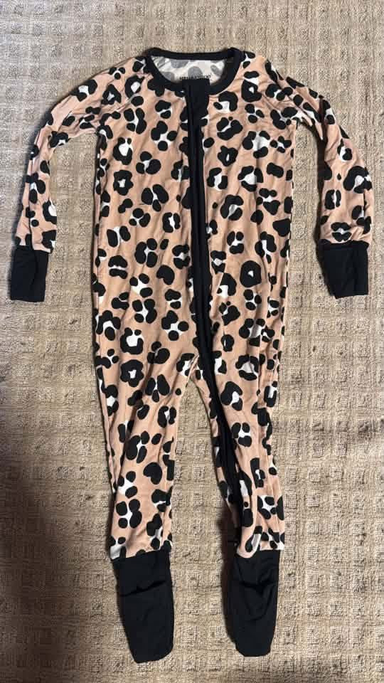 Cheetah Zippy